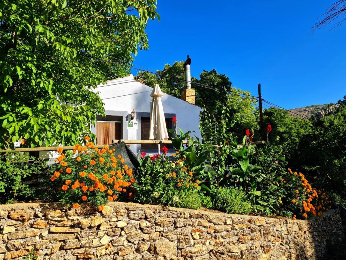Casas Rurales Los Enebros נרפיו מראה חיצוני תמונה
