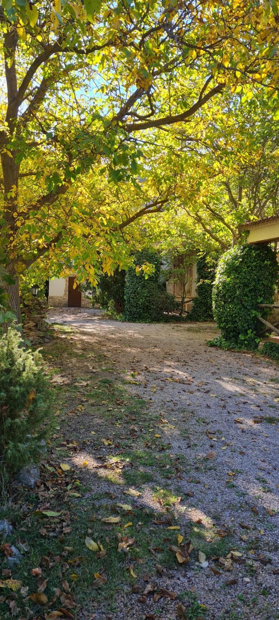 Casas Rurales Los Enebros נרפיו מראה חיצוני תמונה