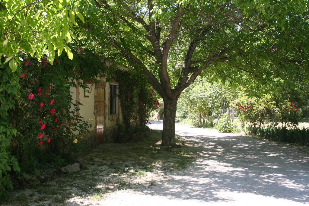 Casas Rurales Los Enebros נרפיו מראה חיצוני תמונה