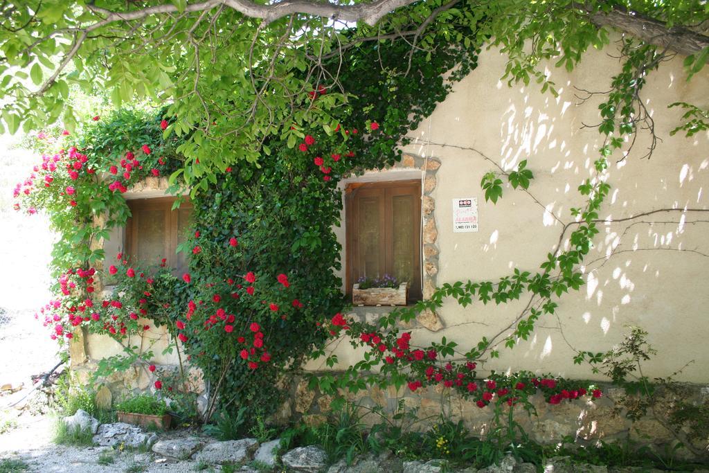 Casas Rurales Los Enebros נרפיו מראה חיצוני תמונה