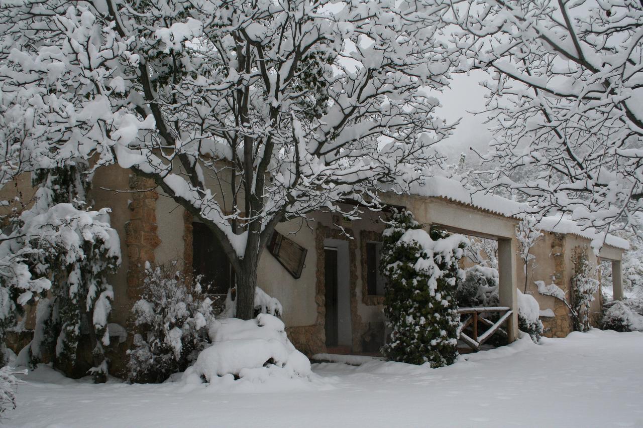 Casas Rurales Los Enebros נרפיו מראה חיצוני תמונה